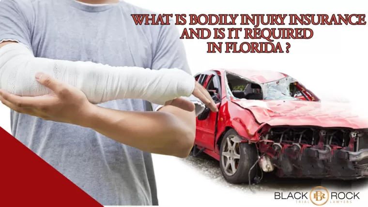 What is Bodily Injury Insurance